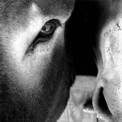 Exposition photo par Yannick Pirot