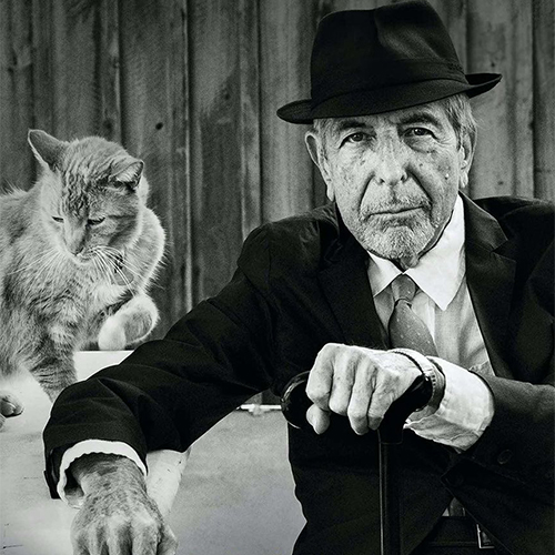 Documentaire "Hallelujah les mots de Léonard Cohen"