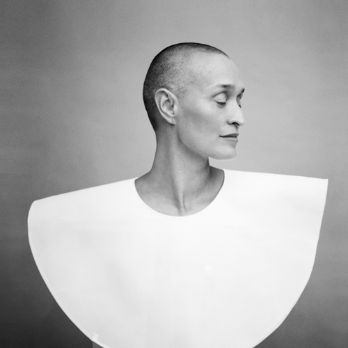 Blaubird © Patrick Swirc